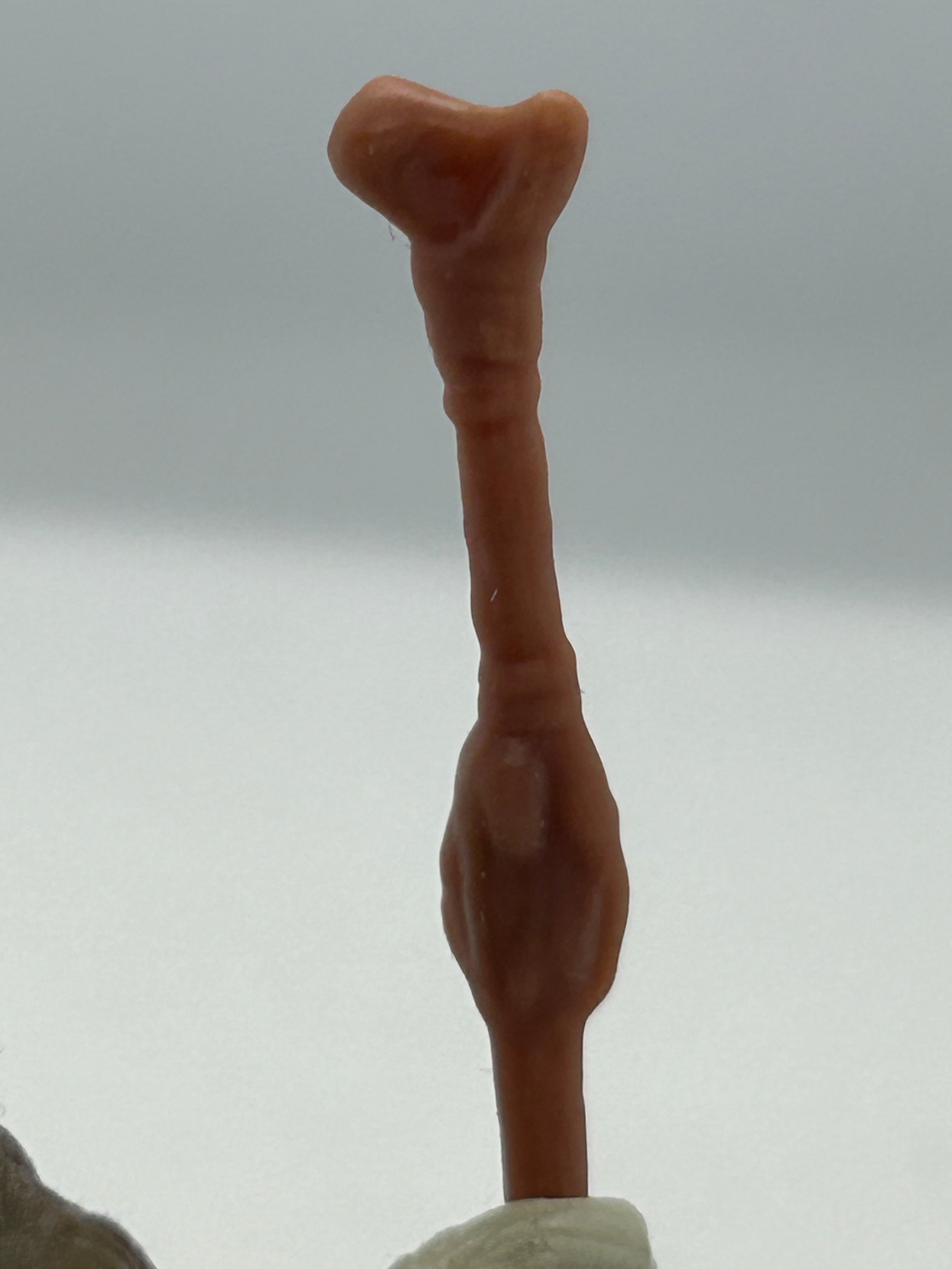 VINTAGE STAR WARS REPRODUCTION/REPLICA WEAPON CHIEF CHIRPA STAFF  3D PRINTED